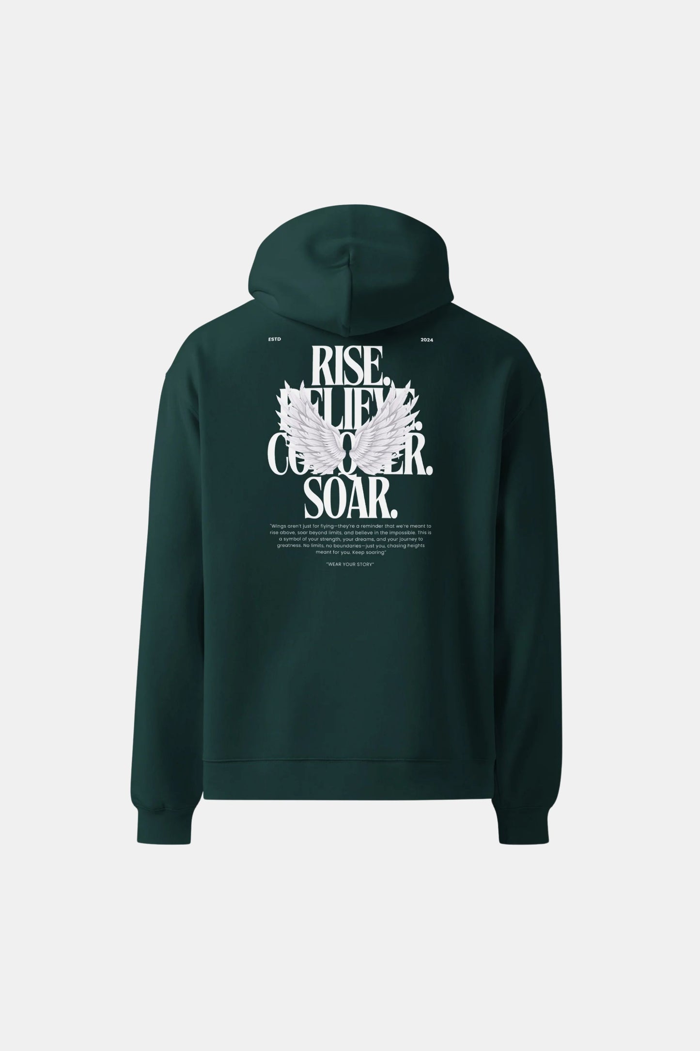 Flying Wing Unisex Oversized Hoodie